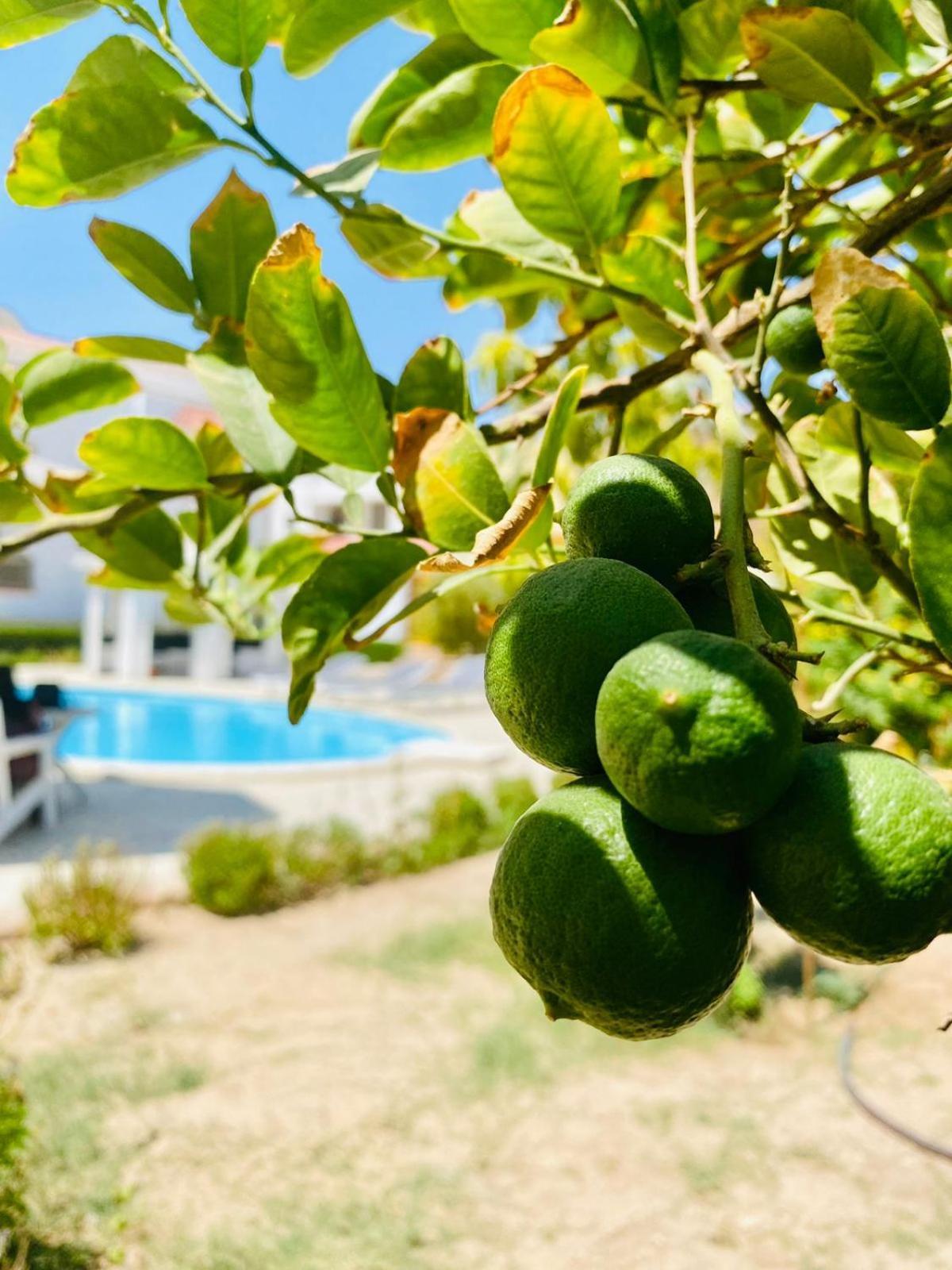 Hurghada-Magawish Villa 1 Zewnętrze zdjęcie